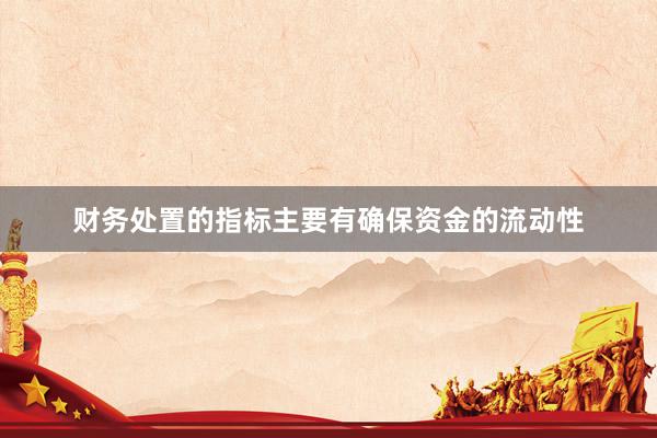 财务处置的指标主要有确保资金的流动性