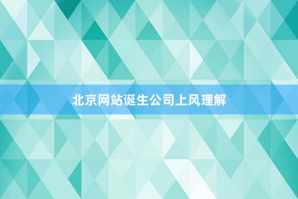 北京网站诞生公司上风理解