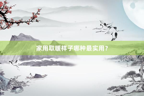 家用取暖样子哪种最实用？