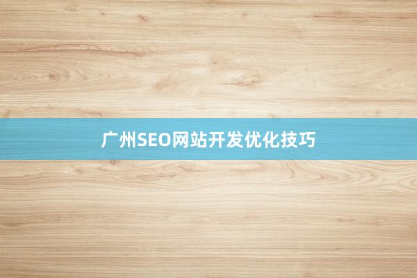 广州SEO网站开发优化技巧