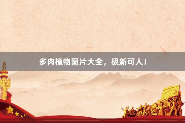 多肉植物图片大全，极新可人！