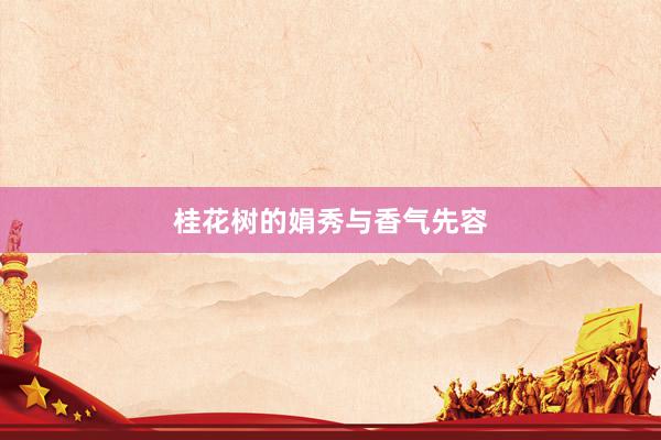 桂花树的娟秀与香气先容